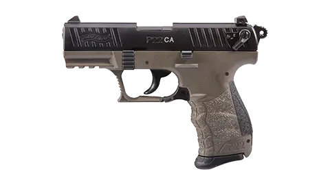 P22 3.42" FDE 10RD 22LR California 0